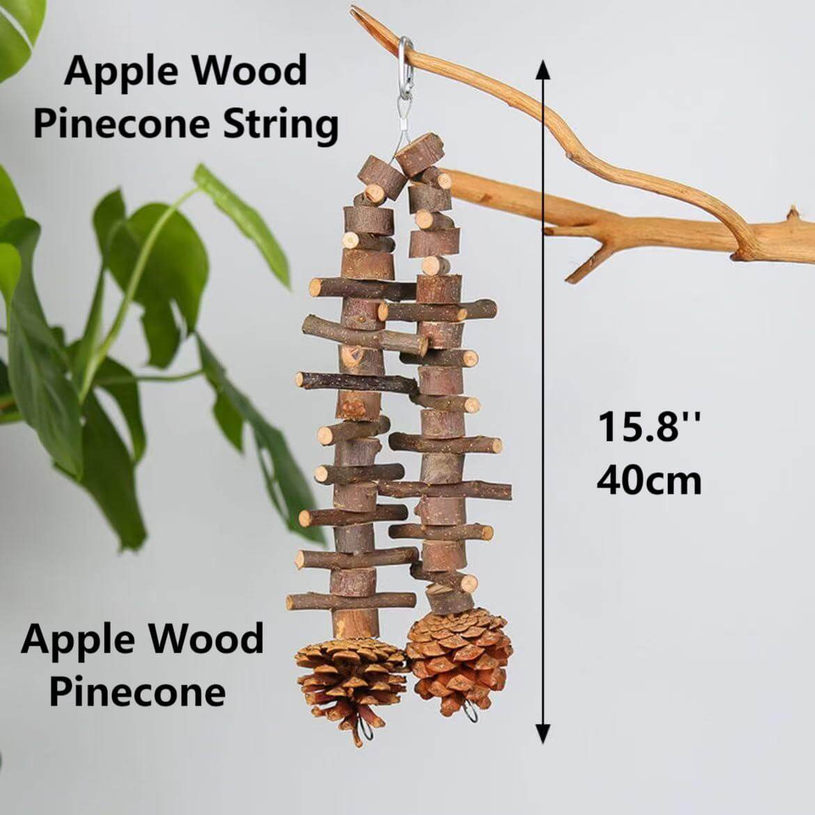 Fruity Crunch Chew Toy – Natural Bird Enrichment Treat