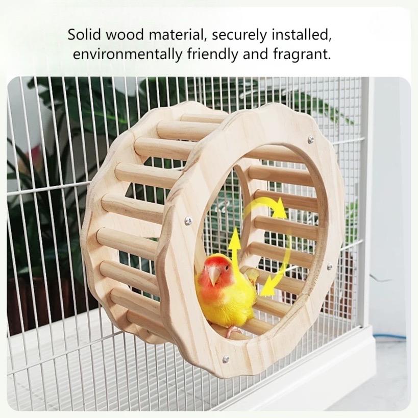 Natural Activity Wheel