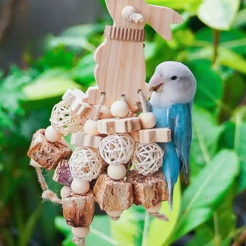 Natural Foraging & Chew Swing for Parrots