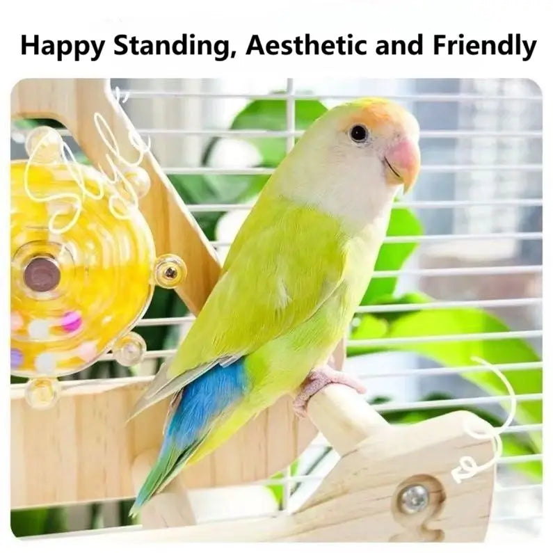 Pirate Ship Playground for Parrots