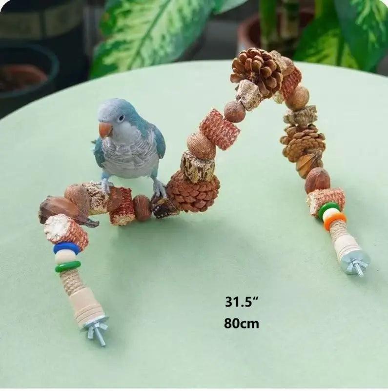 Natural Nut & Wood Chew Toy