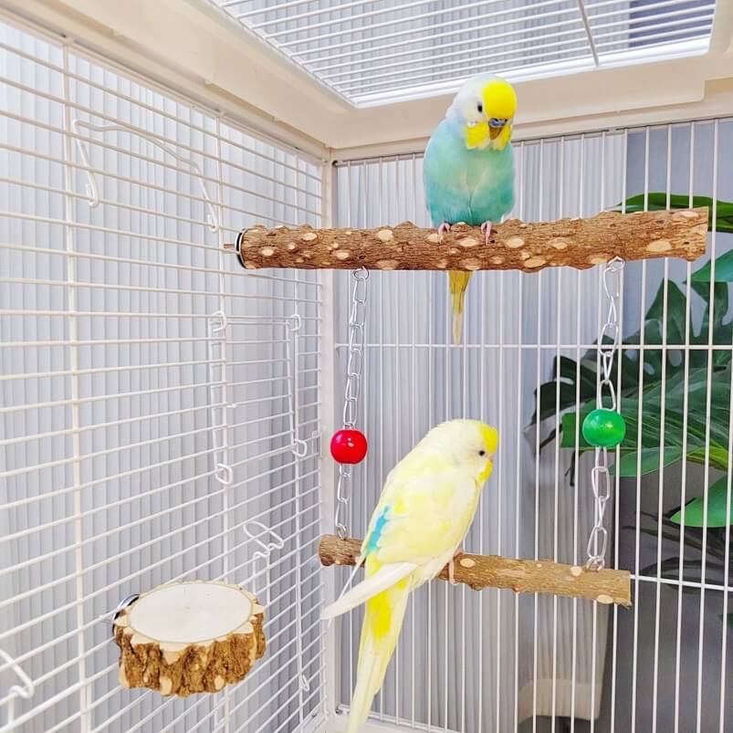 Natural Pepperwood Bird Swing & Perch Platform