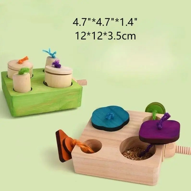 Treasure Hunt Foraging Box