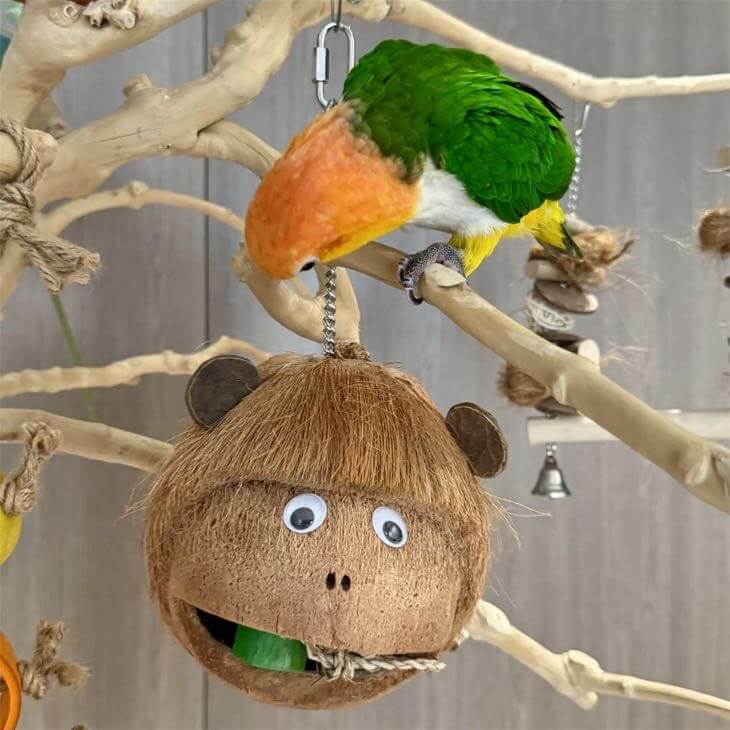 Monkey Hideaway Swing for Parrots