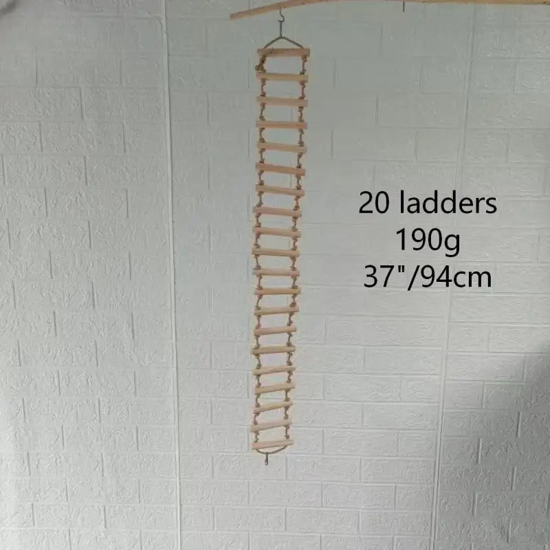 Rainbow Parrot Climbing & Play Ladder