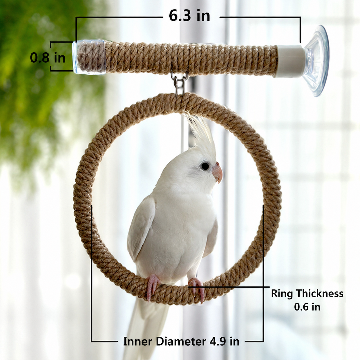 Suction Cup Window Bird Perch