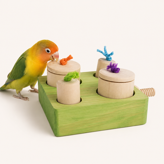 Treasure Hunt Foraging Box