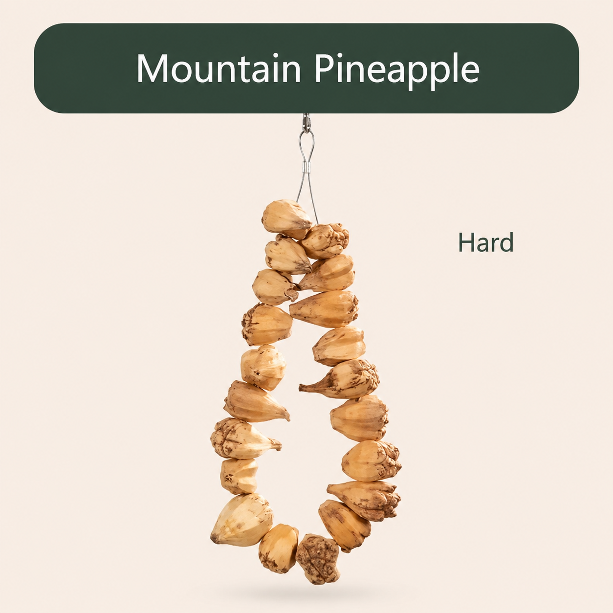 Orchard Feast – Natural Bird Chew & Foraging Toy