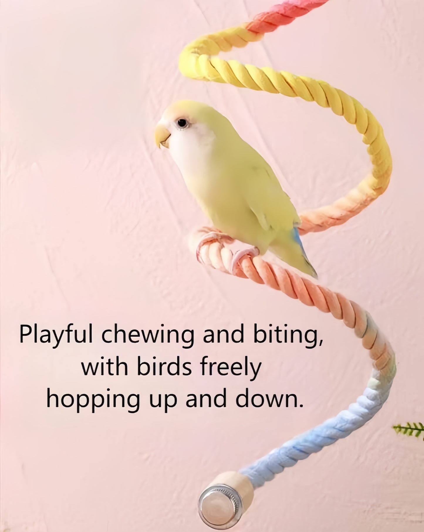 Rainbow Climbing Rope Perch