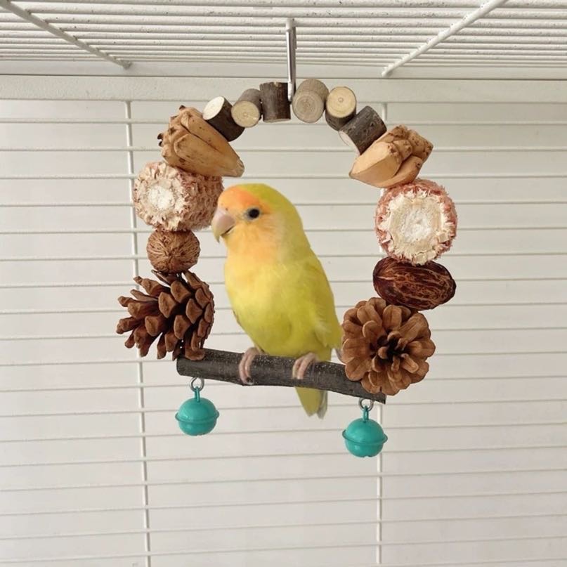 Natural Foraging Bird Swing
