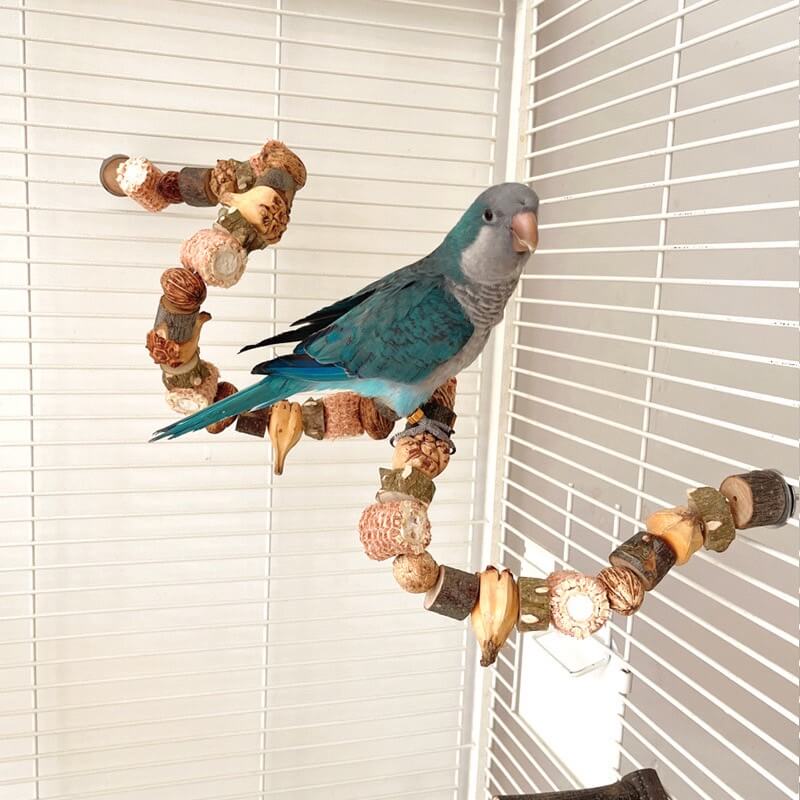 Natural Nut & Wood Chew Toy