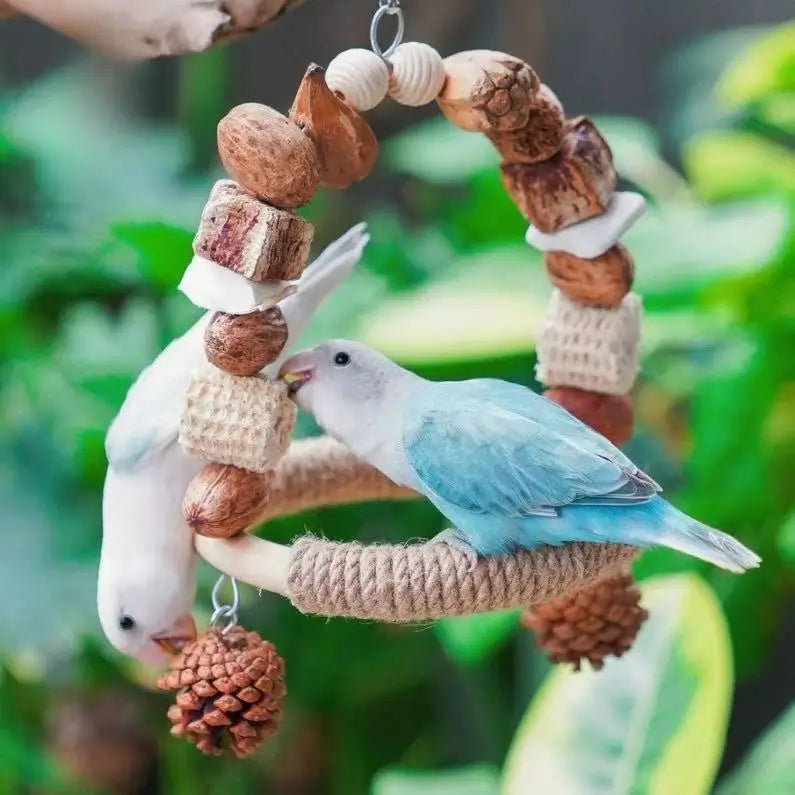 Natural Foraging & Chew Swing for Parrots