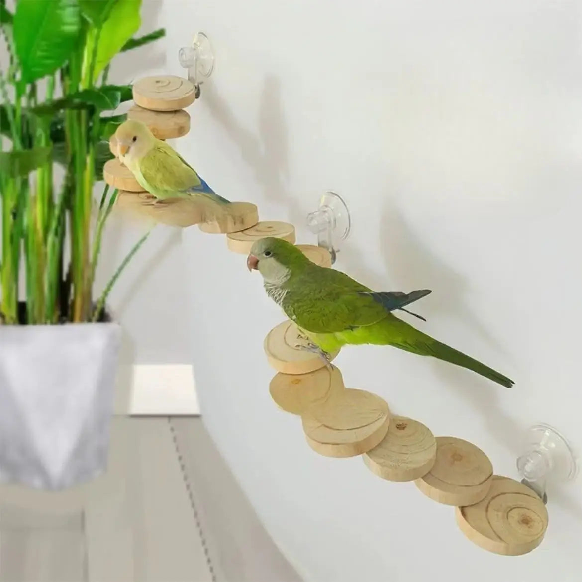Natural Wood Climbing Ladder