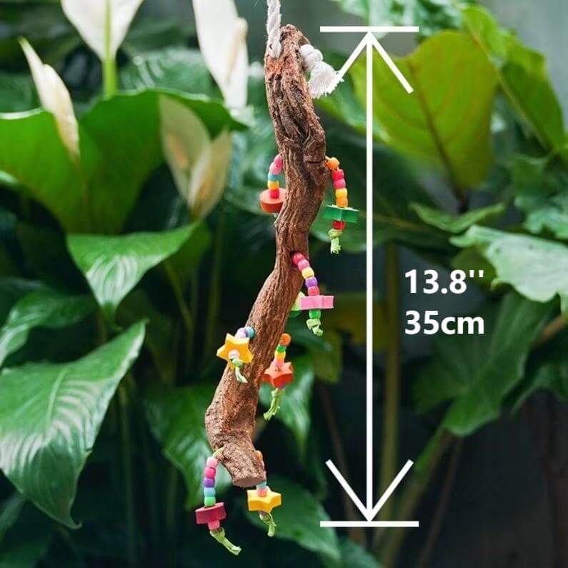 Starfruit Foraging Chew String