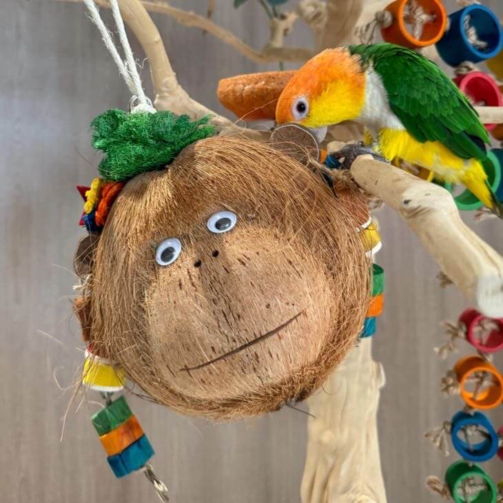Monkey Hideaway Swing for Parrots