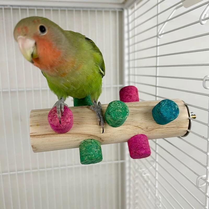 Chew & Discover Cube Toy