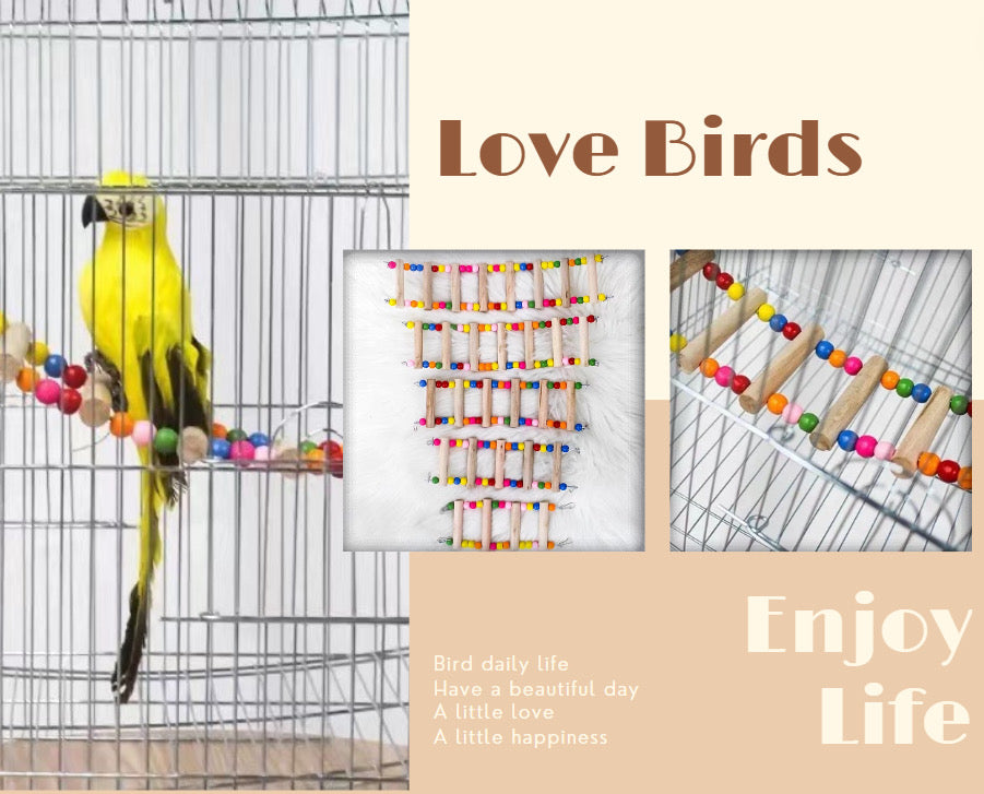 Rainbow Parrot Climbing & Play Ladder