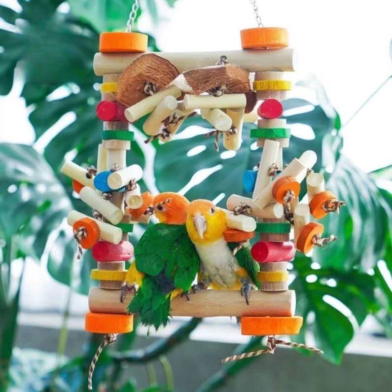 Wooden Swing Bridge Playground for Parrots