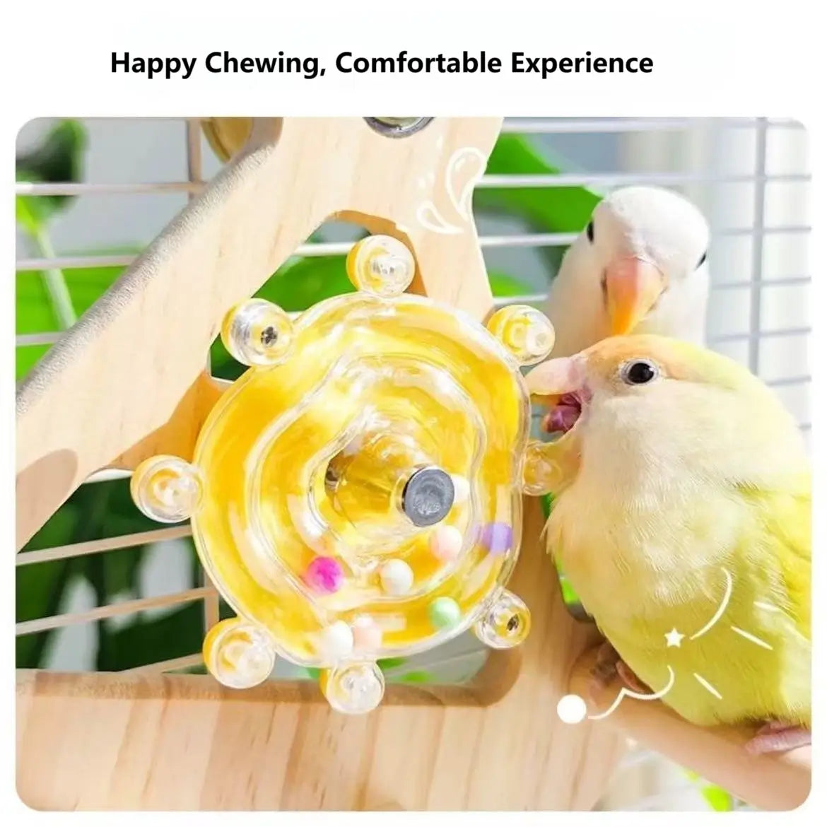 Pirate Ship Playground for Parrots