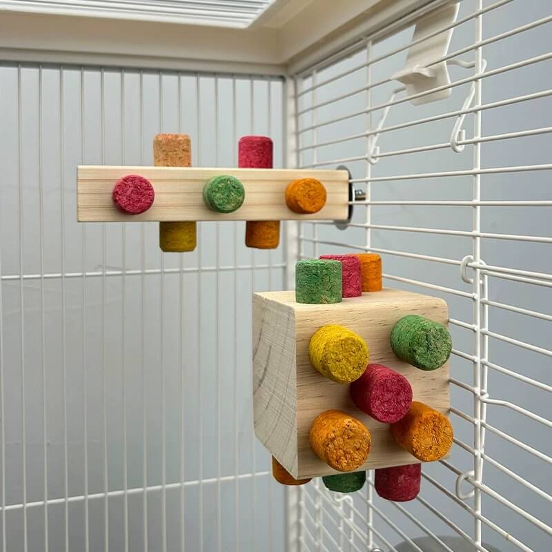Chew & Discover Cube Toy
