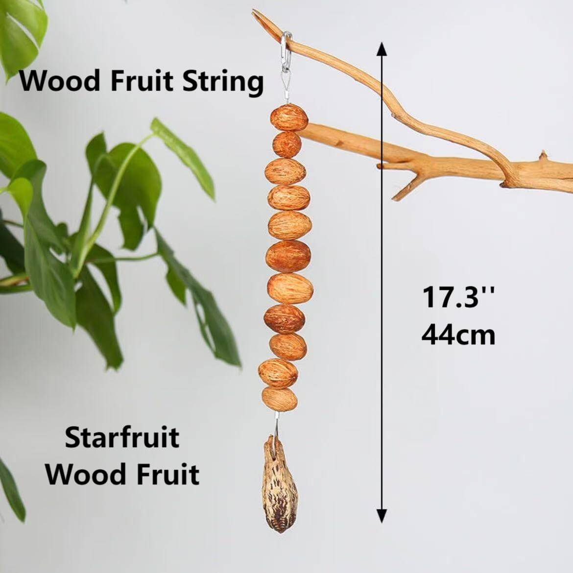 Fruity Crunch Chew Toy – Natural Bird Enrichment Treat