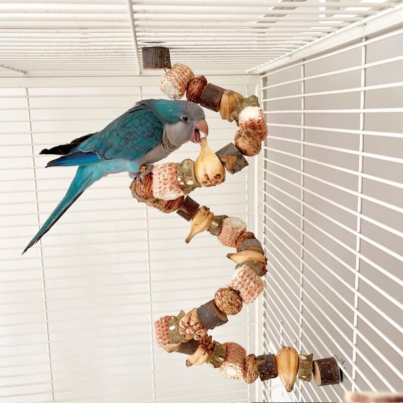 Natural Nut & Wood Chew Toy