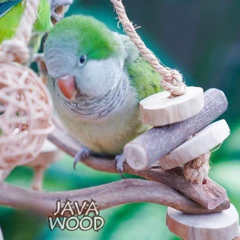 Java Wood Wicker Ball Swing for Parrots