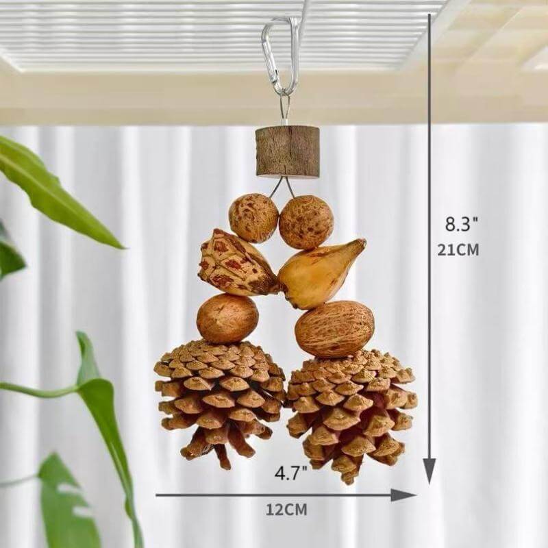 Fruity Crunch Chew Toy – Natural Bird Enrichment Treat
