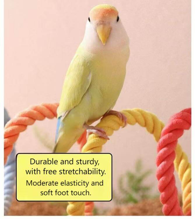 Rainbow Climbing Rope Perch